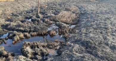 Fazenda é multada em R$ 111,5 mil por degradação ambiente com uso de fogo